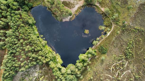 istock Love heart pond 2188504042