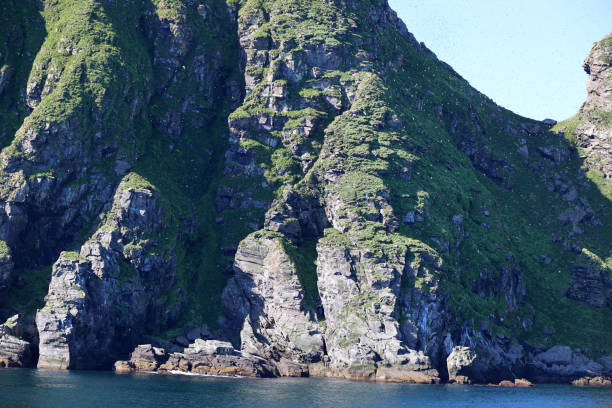 istock Hjelmsoya there is a large bird cliff called Hjelmsoystauren, Norway 2188507193
