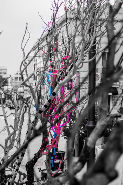 Bare tree branches with unique pink and blue highlights set against a black and white urban backdrop, creating an artistic and vibrant visual contrast. Reflects creativity and urban expression.
