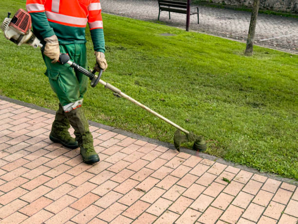 istock Male worker using trimmer for lawn maintenance in urban park 2188516302