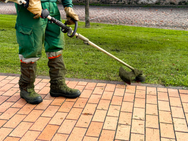istock Caucasian male adult using lawn trimmer on brick pathway in park 2188517752