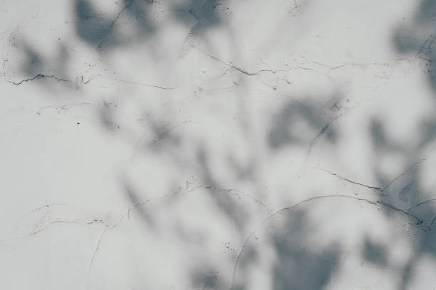 istock Soft shadows on textured wall create serene and calming atmosphere, perfect for artistic backgrounds or minimalist designs 2188520881