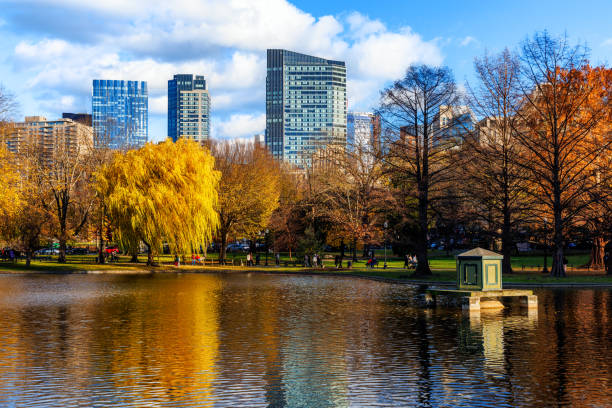 Boston, Massachusetts, USA - November 29, 2024: The Boston Public Garden in full autumn color. View across the pond with Boston downtown skyline in the background.  Established in 1837, the Public Garden is a large park in the heart of Boston, Massachusetts, adjacent to Boston Common. It is a part of the Emerald Necklace system of parks. The Public Garden was the first public botanical garden in America.