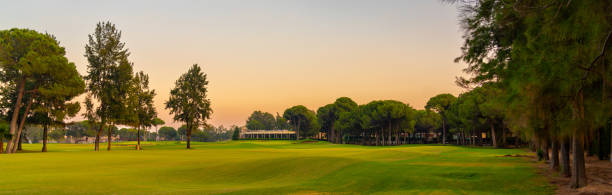 istock A serene golf course surrounded by tall trees, basking in the gentle glow of a twilight sky, offering a peaceful outdoor retreat. 2188532729