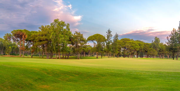 istock A spacious golf course surrounded by tall trees, bathed in the gentle glow of a pastel sunset, offering a serene outdoor setting. 2188532997