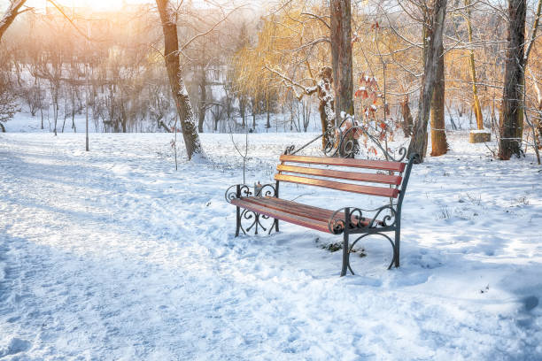 istock Stunning view of park bench and trees covered by heavy snow. 2188534496