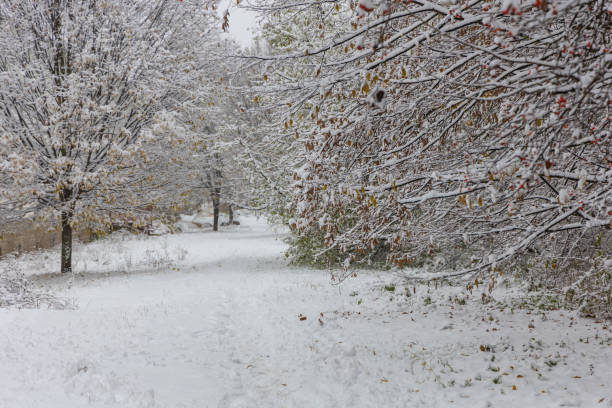 istock Winter urban landscape. Trees, paths and stairs under snow. 2188540891