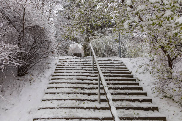 Winter urban landscape. Trees, paths and stairs under snow.