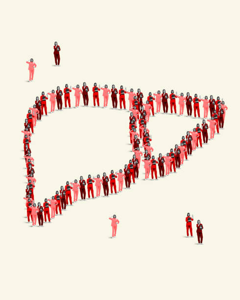 istock Contemporary art collage. Human figures organized into shape of liver, representing creative approach to health, medicine, and teamwork in care 2188543017