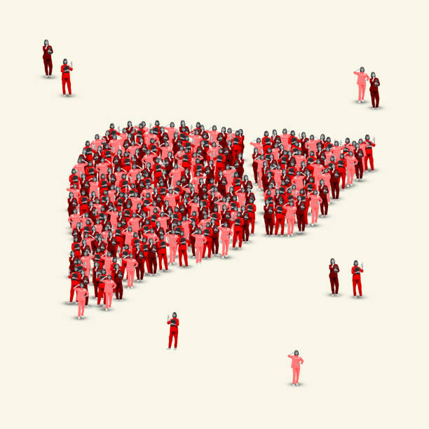 istock Contemporary art collage. Human figures creating liver shape, highlighting collective focus on health and wellness. 2188543048
