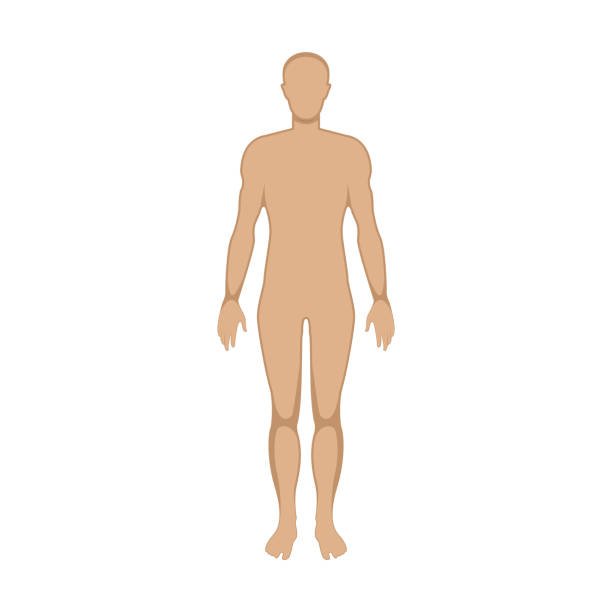 istock Male body vector silhouette illustration isolated on white background 2188543559