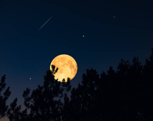 istock Full Moon, stars, planets and landscape scenery silhouettes. 2188548309