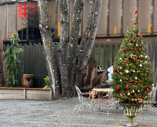 Little tree