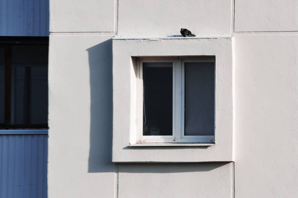 A solitary bird rests on a window ledge, adding a touch of wildlife to the exterior of a building