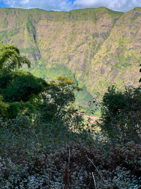 istock Pebble River in Mafate Cirque, Reunion island 2188567489