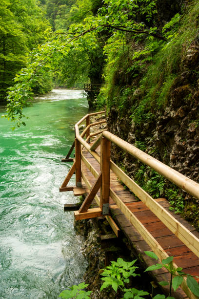istock Beautiful Vintgar canyon in Slovenia 2188568057