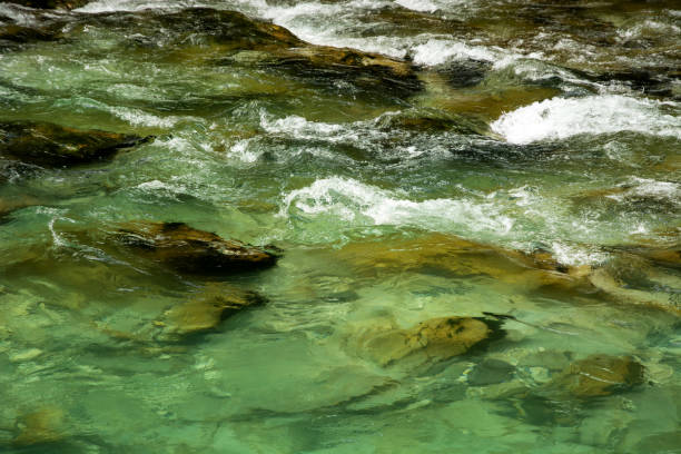 Beautiful Vintgar canyon in Slovenia, Europe