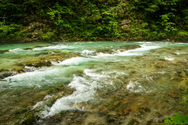 istock Beautiful Vintgar canyon in Slovenia 2188568138