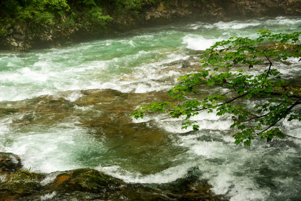 istock Beautiful Vintgar canyon in Slovenia 2188568185