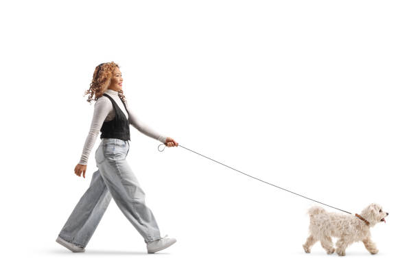 istock Asian woman walking a dog 2188568280