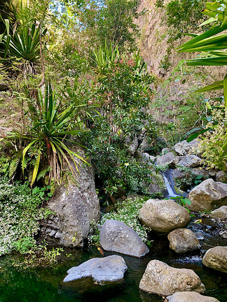 istock Watercourse in Mafate on Reunion Island 2188570218