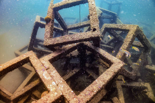 Underwater view of an artificial coral reef being constructed with square concrete structures, providing a habitat for fish and promoting marine life