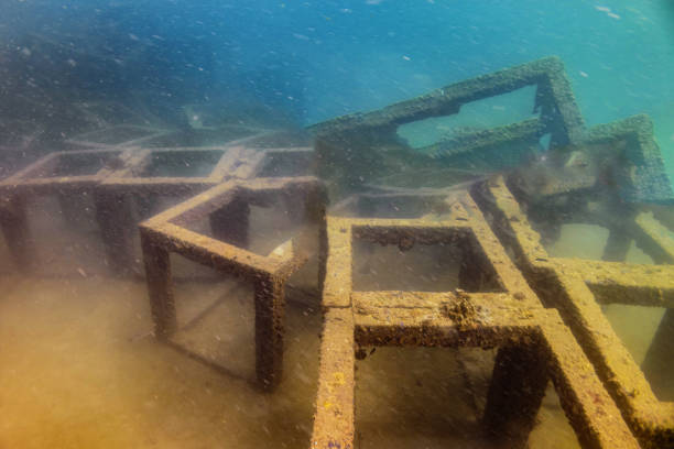 istock Artificial coral reef being constructed in muddy water 2188572250