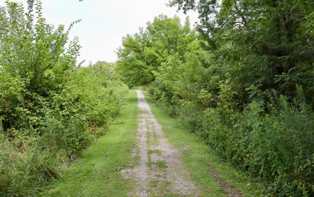 Long Path in the Country Field