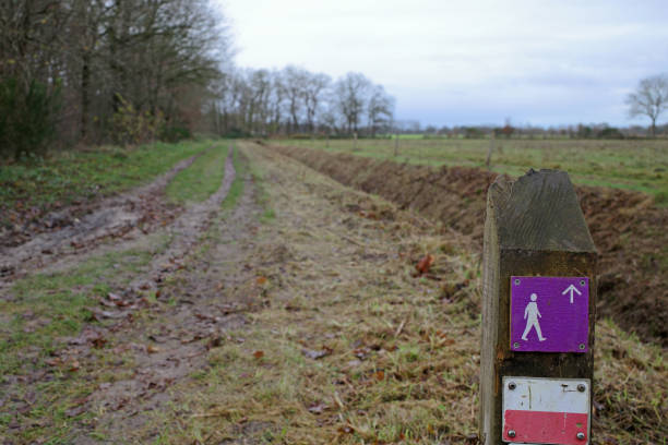 A walking path in the vast landscape of a peat area in Drenthe, the Netherlands. It is National Park Drentsche AA. The path is part of two signposted hiking trails.