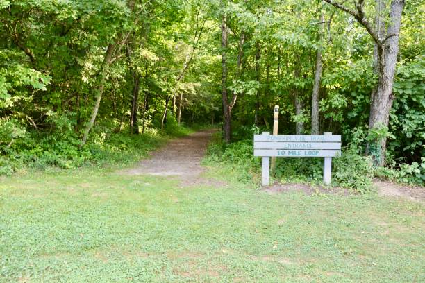 Beginning of the Trail