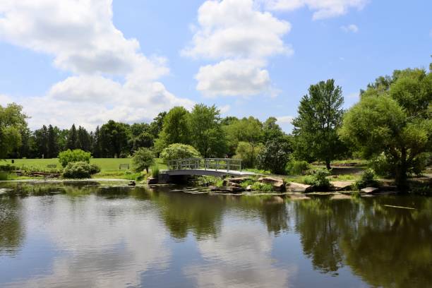 istock Beautiful Pond in the Park 2188575204