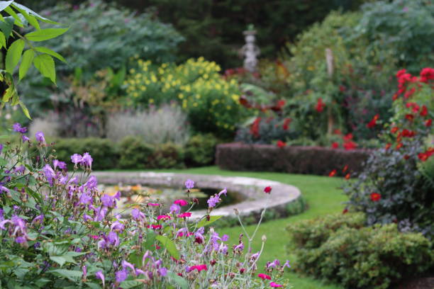 istock Colourful flower beds in a garden in summer 2188580264