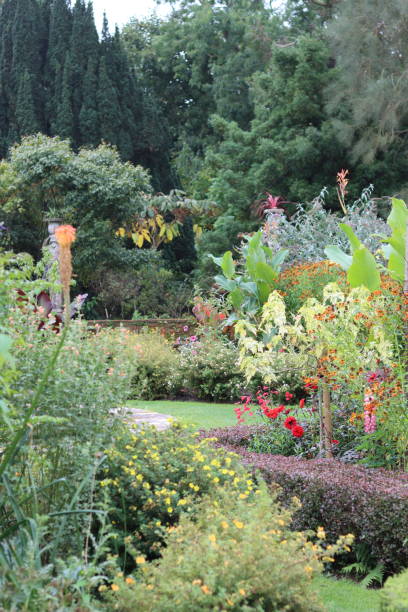 istock Colourful flower beds in a garden in summer 2188580591
