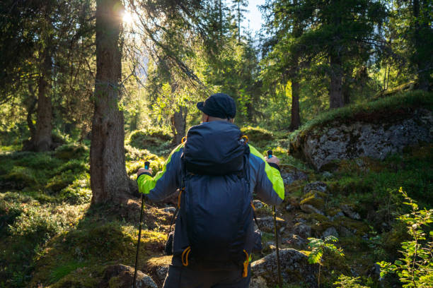 istock Man Hiking Through Sunlit Forest With Backpack and Hiking Poles 2188581749