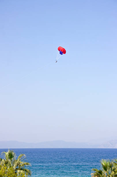 Hot Air Balloon  On Grassy Landscape