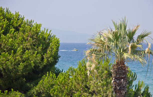 Beautiful picturesque bay with beach on the island of Skiathos, Greece