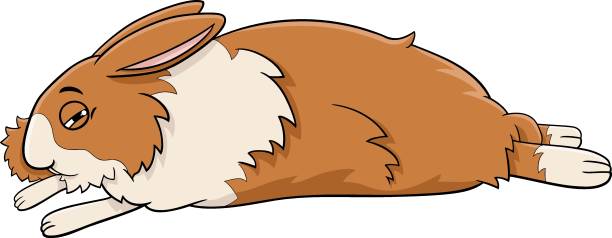 cartoon sleepy miniature rabbit animal character Cartoon illustration of funny sleepy miniature rabbit comic animal character lop eared rabbit stock illustrations