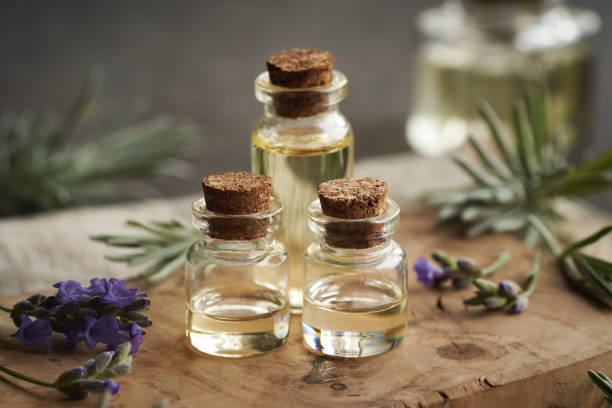 Three bottles of aromatherapy essential oil with fresh lavender flowers