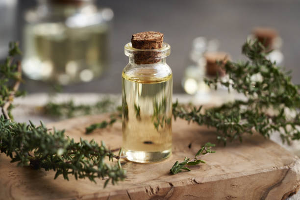 istock Thyme essential oil in a glass bottle 2188606935