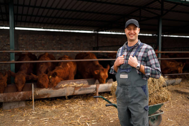 istock Cattle Farmer's Pride 2188612386