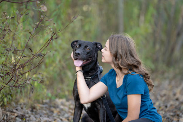 istock A Girls Best Friend! 2188613769