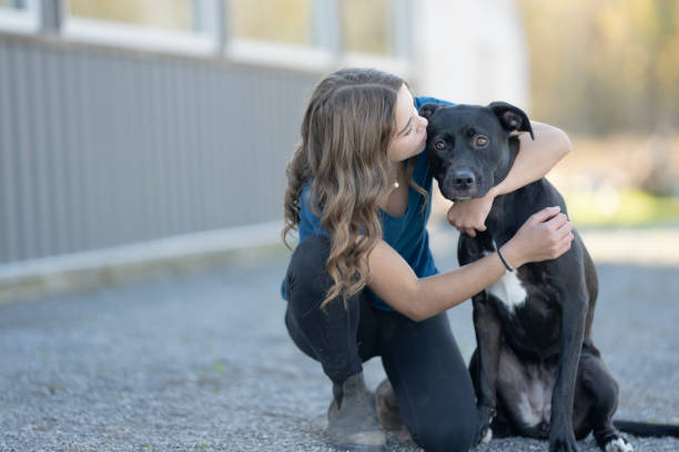 istock A Girls Best Friend! 2188613782