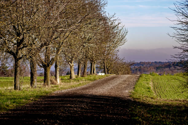 Pretty single lane near lower slaughter, England