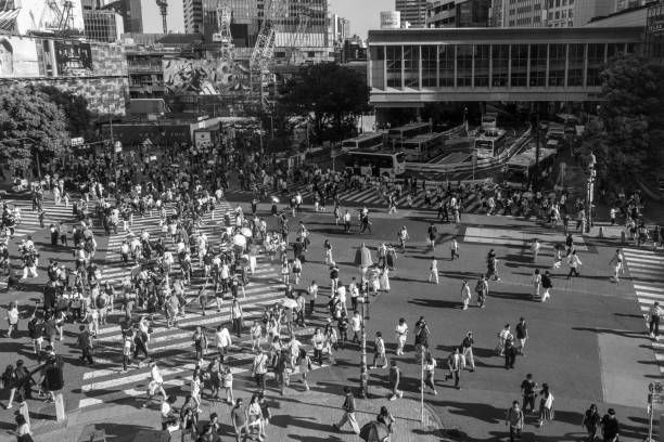 istock A Moment Frozen: Shibuya Crossing in Monochrome 2188622723