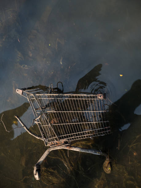 Discarded shopping cart appears in the low tide