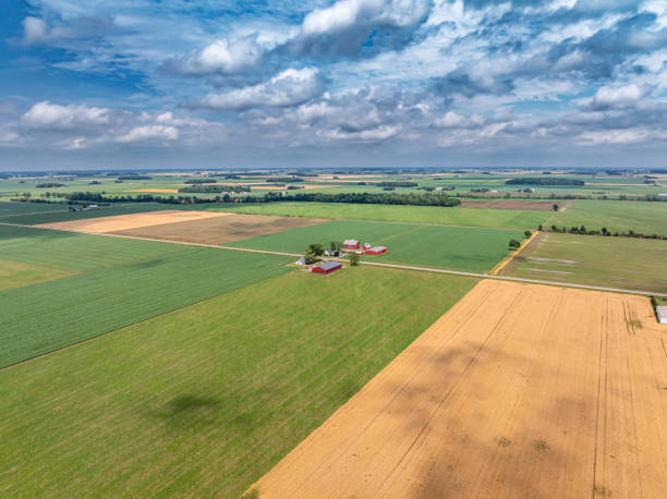 A sunny afternoon under partly cloudy skies aerial photo via drone over the farm fields in late June right before wheat harvest with ripening green soybeans and corn with golden wheat in the field and the farmsteads along the roadway in Ohio.