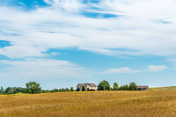 Farm field stock photo