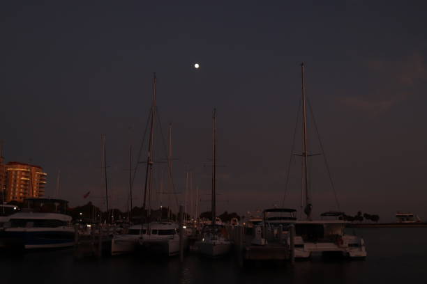 Sailboats in a marina at twilight ￼