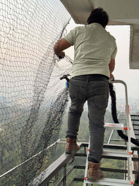 Stock photo showing close-up, rear view of an Indian handyman, wearing work boots, standing with one foot on the rung of an aluminium step ladder and his other on the top of a handrail of a safety barrier on a high apartment balcony, whilst he leans precariously to install anti-bird netting. Health and safety concept. imagen de primer plano de un manitas irreconocible que instala una red antipájaros para palomas en un balcón residencial alto, apoyado precariamente en una escalera de mano, martillo en el bolsillo, fondo de expansión urbana, vista trasera, enfoque en p