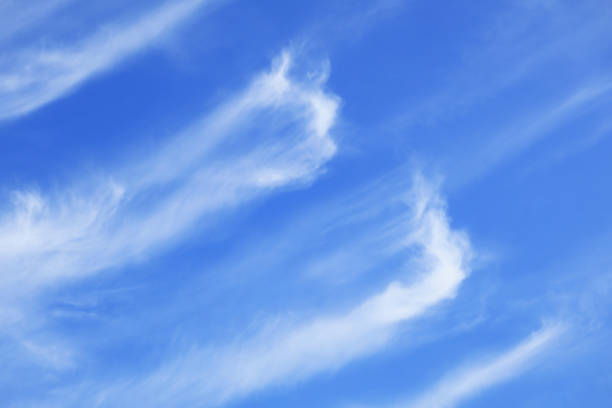 White Cirrus Clouds Spread Across Vibrant Blue Sky